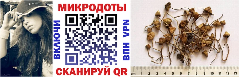 Галлюциногенные грибы GOLDEN TEACHER  мега ТОР  Валдай 